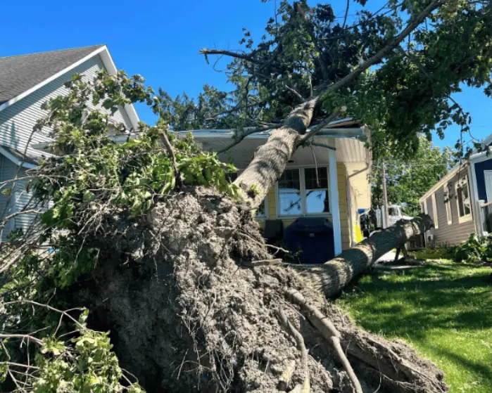 How Emergency Tree Removal Insurance Billing Works