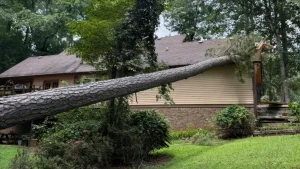 Emergency tree removal after tree fell on house roof with insurance claim documentation