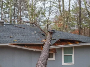 Your Neighbor’s Tree Fell on Your House. Who Pays?