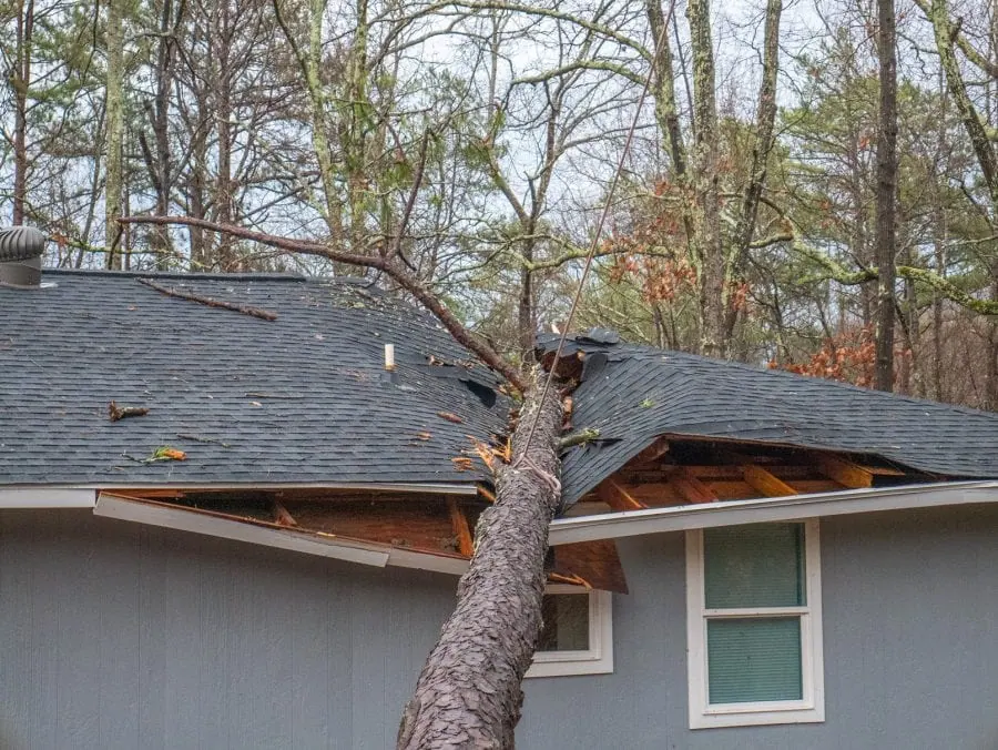Your Neighbor’s Tree Fell on Your House. Who Pays?